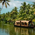 Discover South India's cultural treasures and serene backwaters on this captivating tour. Explore ancient temples, lush landscapes, and vibrant cultures.