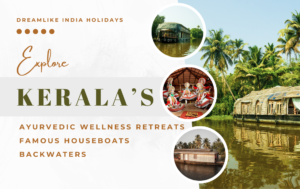 Kerala Blog