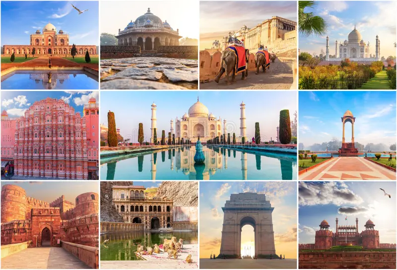Private Tour India