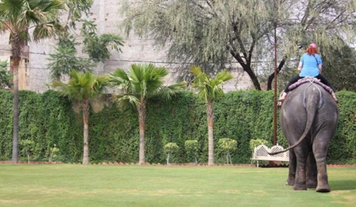 Golden Triangle Tour from Delhi