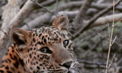 B2C93002-9B6D-4D1C-973C-9AE9967CB68F