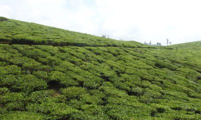 DSCN1328-e1587469738747