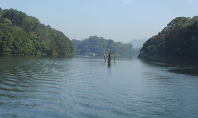 DSCN1334-e1587470073841