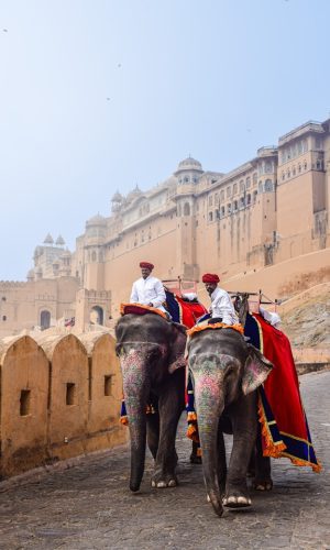 FASCINATING RAJASTHAN WITH CENTRAL INDIA
