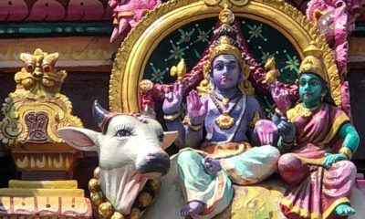 IMG_0144-e1588681488600