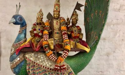 IMG_0284-e1588679290347