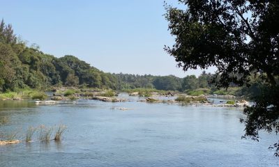 IMG_0287-e1588681307606