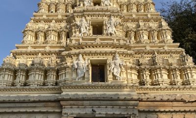 IMG_0556-e1587465721986-2