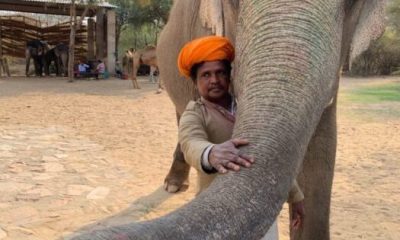 IMG_4689-e1588508469866