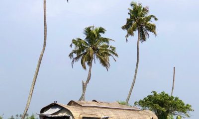 IMG_6885-e1587467552811