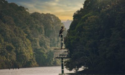 Kerala tour packages in India