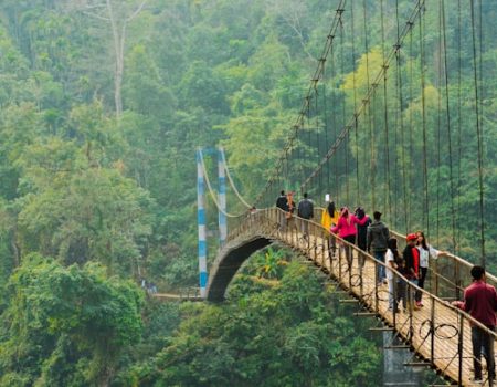 Root Bridges, Meghalaya