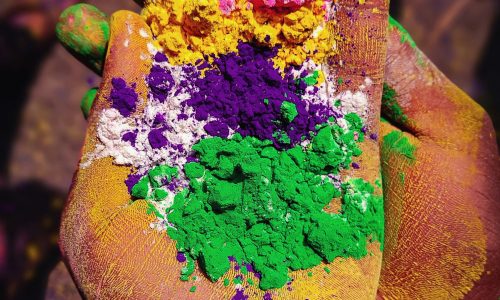 souvik-laha-tRwrK5eA0ng-unsplash